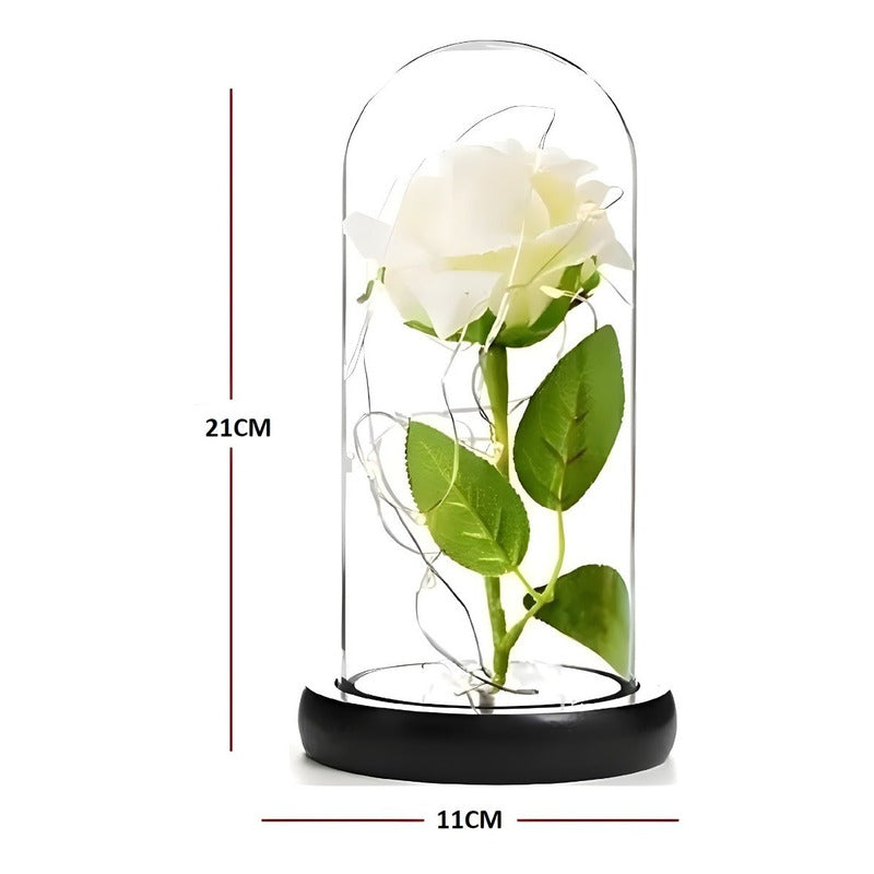 2 Rosas Eternas Rosa Eterna Rosa Preservada Led San Valentin