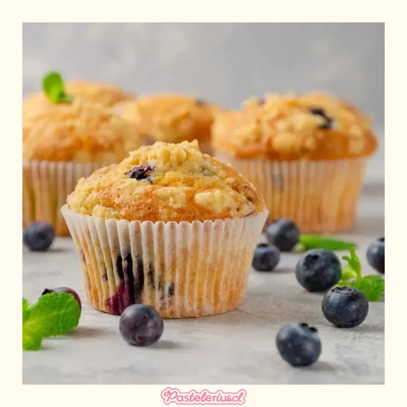 Pack De 2 Moldes 12 Cupcakes Molde Cupcake Molde Para Tortas Reposteria Molde Cupcakes Molde Para Cupcakes Molde De... Gris