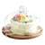 Base Para Torta Base Para Cupcakes Porta Tortas Base 20cm