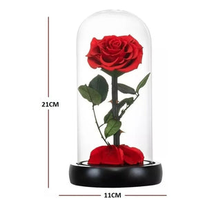 Pack X2 Rosa Eterna Rosa Preservada Led San Valentin Rosas Rojo 110762