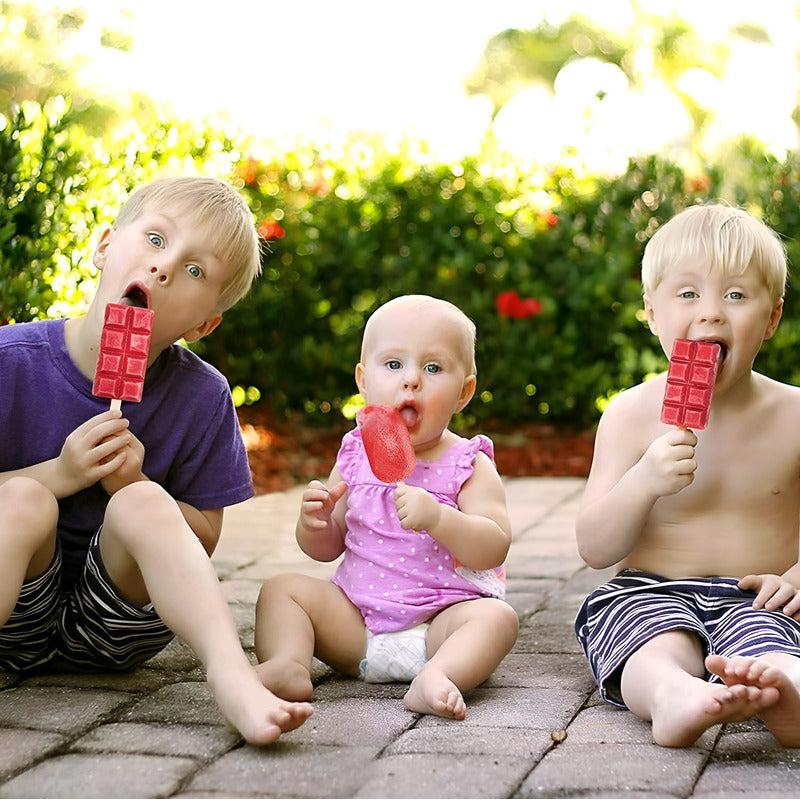 Moldes De Silicona Reposteria Moldes Para Helados Paleta 051