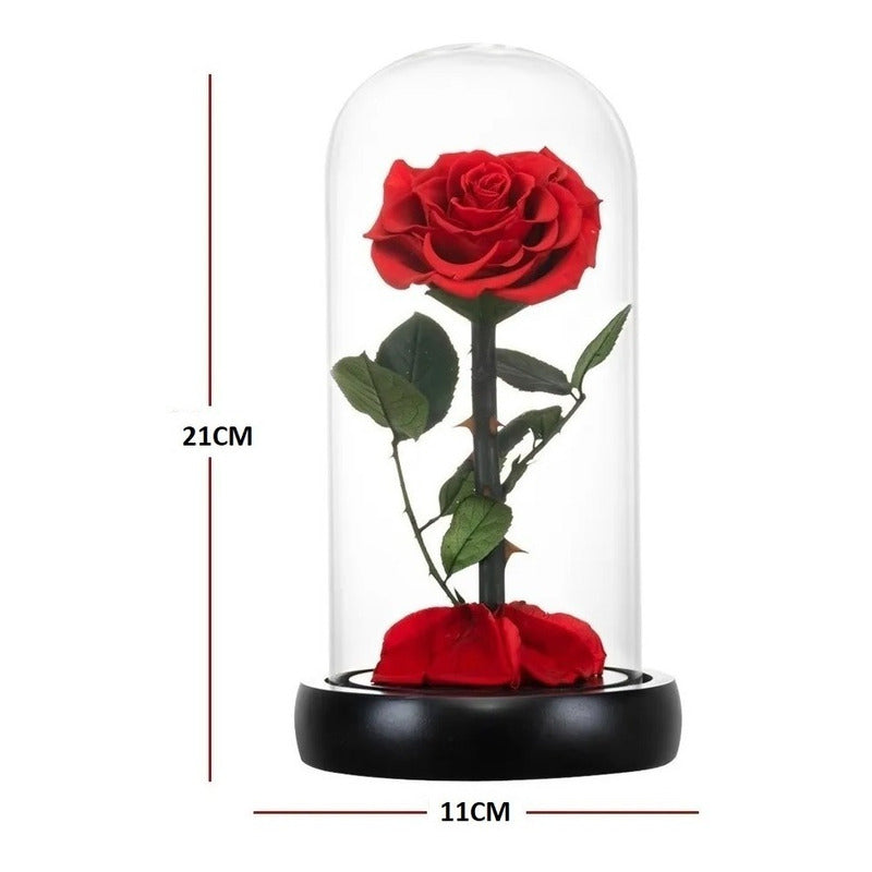 Rosa Eterna Rosas Eternas Rosa Preservada Led San Valentin Rojo Rosa Roja De Madera- Led