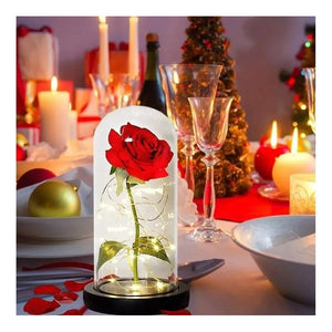 Pack X2 Rosa Eterna Rosa Preservada Led San Valentin Rosas Rojo 110762