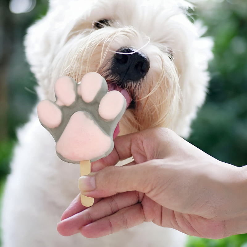 2 Molde Helados Molde Helado Silicona Moldes Paleta Patitas Blanco